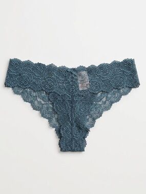 NWT Skarlett Blue Lace Cheeky Bikini Panty Sz XL Goddess Antique Glass Blue